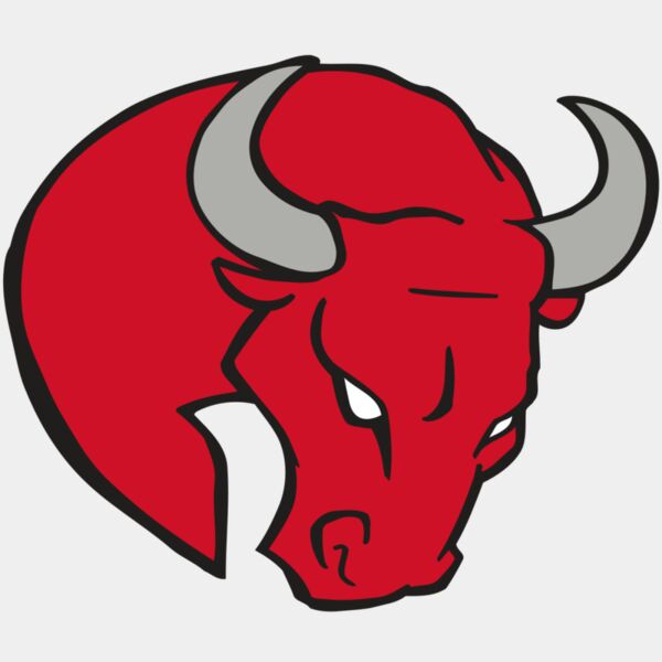 AR BULL 24 RC Thumbnail