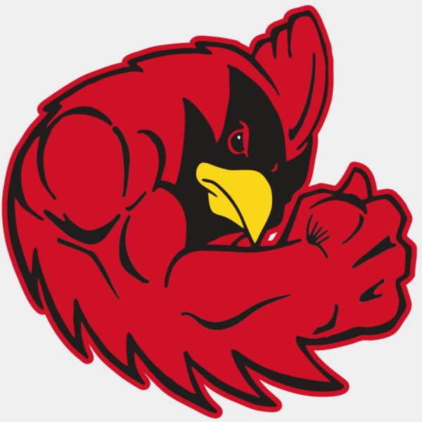 AR CARDINAL 29 RC Thumbnail