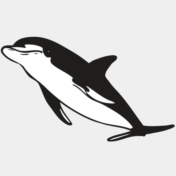 AR DOLPIN 13 RC Thumbnail