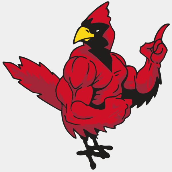 AR CARDINAL 27 RC Thumbnail