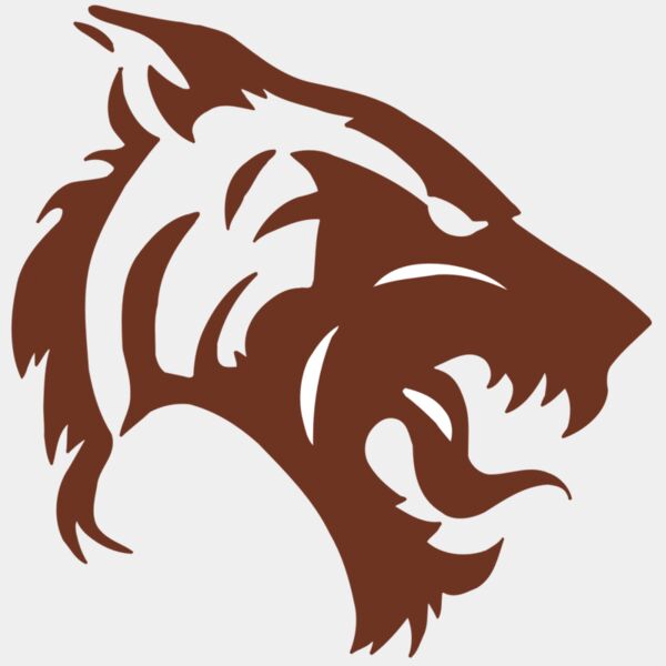 AR5 TIGER 06 RQC Thumbnail