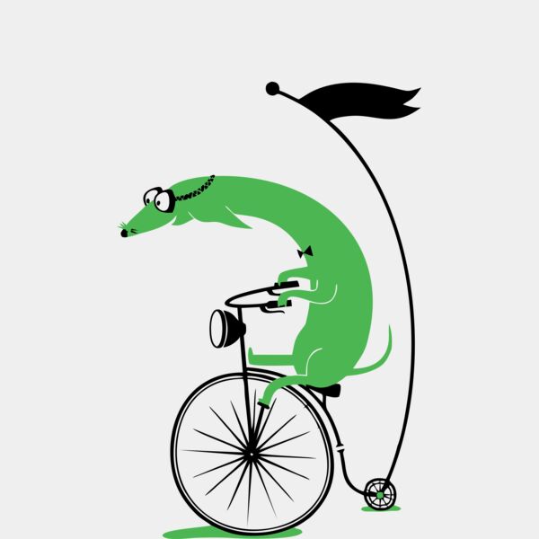 Bicycle   05 Thumbnail