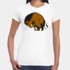 Womens Softstyle Tee Shirt Thumbnail